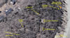 Bing Aerial Map